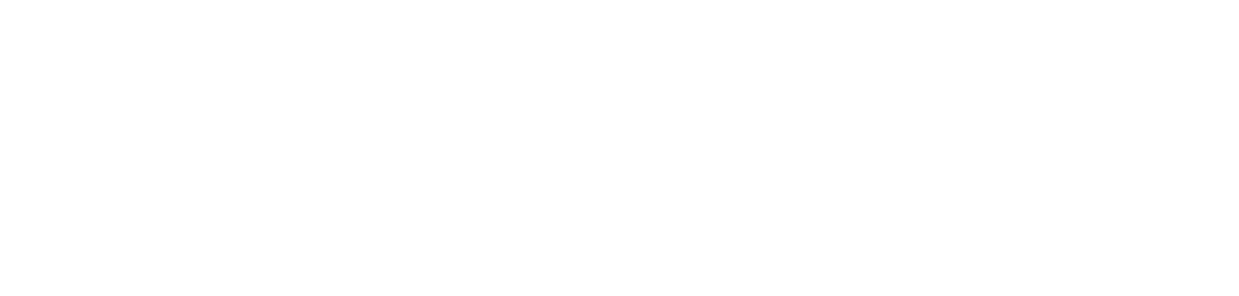 ESON Wire Harness
